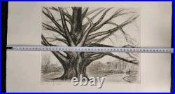 Jolie Gravure Attribué À Pierre Frachon Forcade (1902-1996) Non Signé