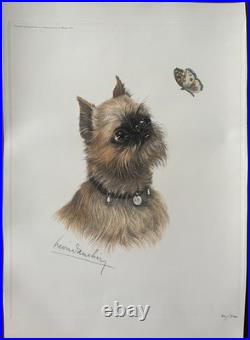 Le Pékinois et le Papillon Léon Danchin Gravure signée numérotée
