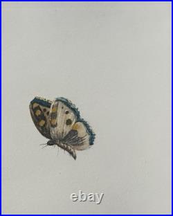 Le Pékinois et le Papillon Léon Danchin Gravure signée numérotée