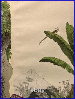 Lithographie Afrique Antique 1838 Coloriée Main Aquarelle Animaux Faune