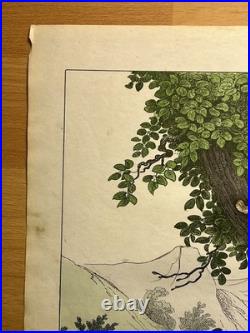 Lithographie Afrique Antique 1838 Coloriée Main Aquarelle Animaux Faune