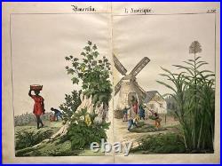 Lithographie Amérique ancienne 1838 colorée à la main aquarelle animaux faune