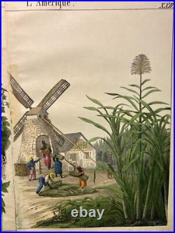 Lithographie Amérique ancienne 1838 colorée à la main aquarelle animaux faune