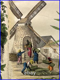 Lithographie Amérique ancienne 1838 colorée à la main aquarelle animaux faune