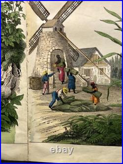Lithographie Amérique ancienne 1838 colorée à la main aquarelle animaux faune