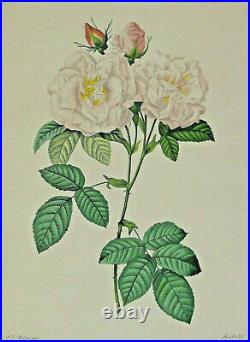 Lithographie Nature Morte Fleurs Mourlot Pierre-Joseph Redoute 1759 1840