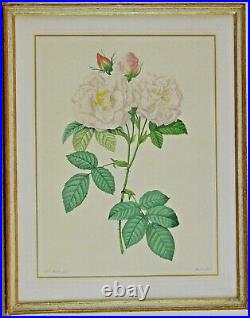Lithographie Nature Morte Fleurs Mourlot Pierre-Joseph Redoute 1759 1840