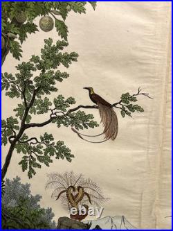 Lithographie Océanie Antique 1838 Coloriée Main Aquarelle Animaux Faune Lithographie Océanie Antique 1838 Coloriée Main Aquarelle Animaux Faune