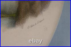 Lithographie Originale 19ème par Delpech Mme Lavalette