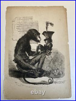 Lithographie Portrait Durandeau 1930 À Identifier Litho Charles Perey Singe Art