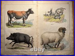 Lithographie ancienne 1838 tableau colorié main aquarelle brocante art