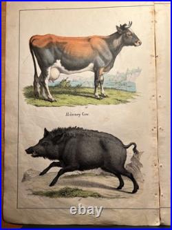 Lithographie ancienne 1838 tableau colorié main aquarelle brocante art