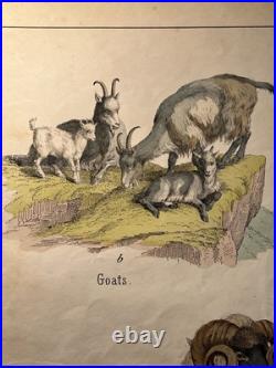 Lithographie ancienne 1838 tableau colorié main aquarelle brocante art