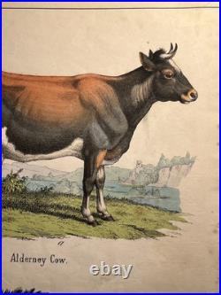 Lithographie ancienne 1838 tableau colorié main aquarelle brocante art