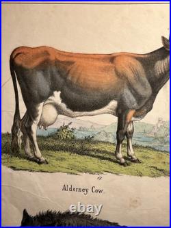 Lithographie ancienne 1838 tableau colorié main aquarelle brocante art