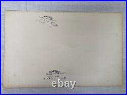 Lithographie ancienne originale de W. Greeve-Berlin-London ornithologie