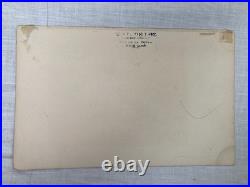 Lithographie ancienne originale de W. Greeve-Berlin-London ornithologie