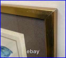 Lithographies Colorées Le Papillon Polydamas Pietro Scattaglia Schmetterling