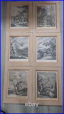 Lot 6 Gravures Chasse Ridinger Chasse Faucon Fauconnier Hunter Hunting