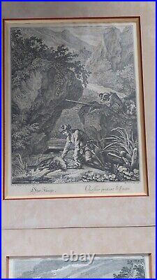 Lot 6 Gravures Chasse Ridinger Chasse Faucon Fauconnier Hunter Hunting