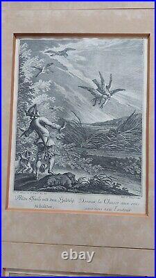 Lot 6 Gravures Chasse Ridinger Chasse Faucon Fauconnier Hunter Hunting