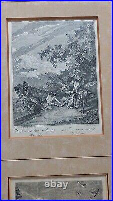 Lot 6 Gravures Chasse Ridinger Chasse Faucon Fauconnier Hunter Hunting