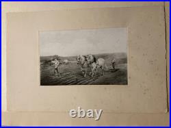 Lot De 6 Gravures Chevaux De Traits Mouton Lithographie XXe A Identifier