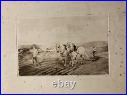 Lot De 6 Gravures Chevaux De Traits Mouton Lithographie XXe A Identifier