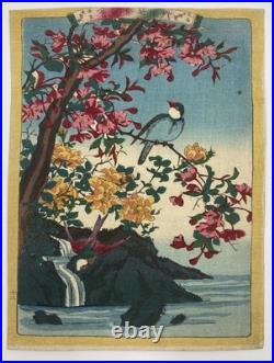 Lot de 4 estampes japonaises Oiseaux et fleurs Époque Meiji (vers 1880-1890)