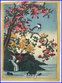 Lot de 4 estampes japonaises Oiseaux et fleurs Époque Meiji (vers 1880-1890)