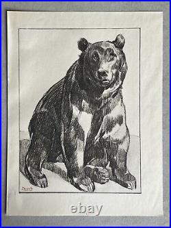 Paul JOUVE Gravure Animalière Lithographie ART DECO Ours Bear Tragen Oso