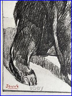 Paul JOUVE Gravure Animalière Lithographie ART DECO Ours Bear Tragen Oso
