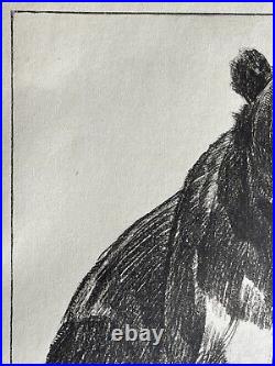 Paul JOUVE Gravure Animalière Lithographie ART DECO Ours Bear Tragen Oso