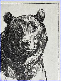 Paul JOUVE Gravure Animalière Lithographie ART DECO Ours Bear Tragen Oso