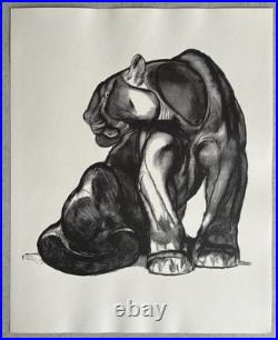 Paul JOUVE Gravure Animalière Lithographie ART DECO Panthère Noire Black panther
