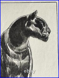Paul JOUVE Gravure Animalière Lithographie ART DECO Panthère Noire Black panther
