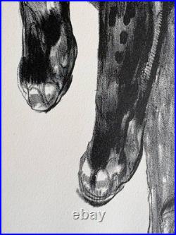 Paul JOUVE Gravure Animalière Lithographie ART DECO Panthère Noire Black panther