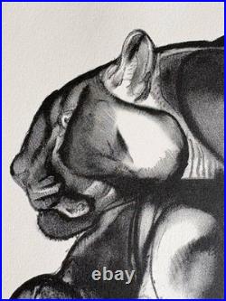 Paul JOUVE Gravure Animalière Lithographie ART DECO Panthère Noire Black panther