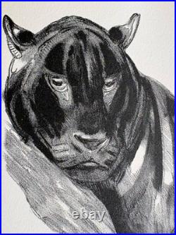 Paul JOUVE Gravure Animalière Lithographie ART DECO Panthère Noire Black panther
