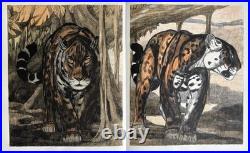 Paul JOUVE Gravure Animalière Lithographie ART DECO Panthère Tigre Tiger panther