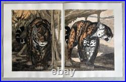 Paul JOUVE Gravure Animalière Lithographie ART DECO Panthère Tigre Tiger panther