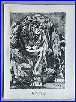 Paul JOUVE Gravure Animalière Lithographie ART DECO Panthere panther Tigre Tiger