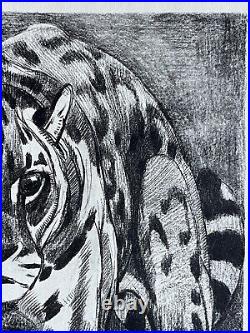 Paul JOUVE Gravure Animalière Lithographie ART DECO Panthere panther Tigre Tiger