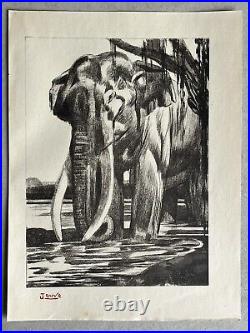 Paul JOUVE Gravure Animalière Lithographie ART DECO elephant elefant elephante