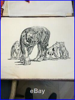 Paul Jouve Lithographie Lionne et ces Lionceaux Annotée épreuve d'essai