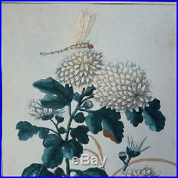 Pierre Joseph BOUCHOZ 1731-1807 FLEURS DE CHINE aquatinte aquarellée 1776