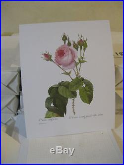 Pierre Joseph Redouté lot 100 000 imprimés 24x30cm roses agrumes fleurs fruit