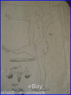 Pierre (Petrus) Camper / Plates planches / COMPLET / 1803 Anatomie comparée