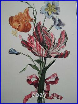 Planche botanique flore fleurs tulipes Matagon XIXème siècle signée Avril