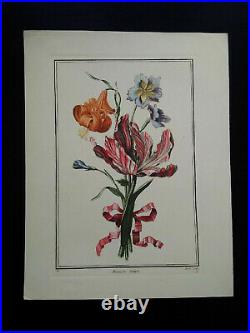 Planche botanique flore fleurs tulipes Matagon XIXème siècle signée Avril